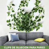 Clips de Sujeción para Pared